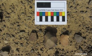 Fig. 6. MSA basalt core and flakes from surface of lava flow, Jizan Region. Photo: R. Inglis, 2013