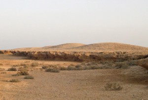 Fig. 1. Shell mounds in Janaba West in 2006. Photo: A. Al Zahrani